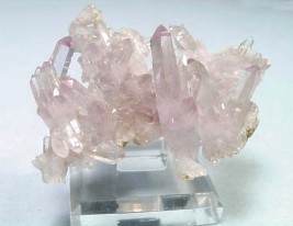 amethyst dog mountain quartz sale