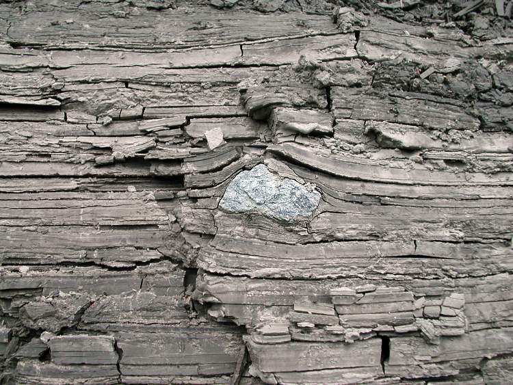 glacial clay dropstone